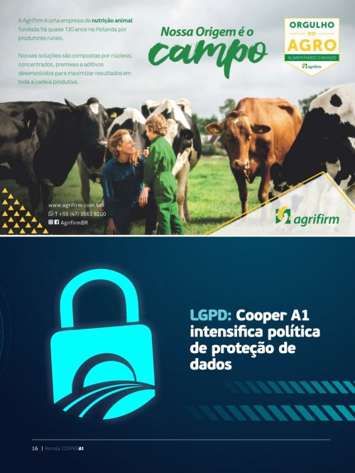 Revista Digital - página 15