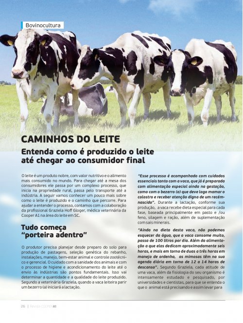 Revista Digital - página 25